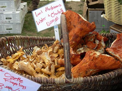 lobster mushrooms for sale at a market