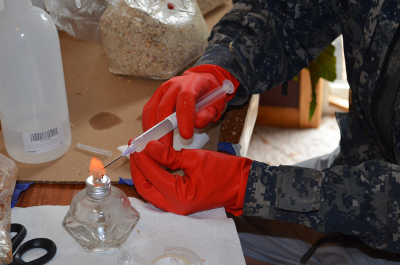 sterilizing the needle for mushroom cultivation