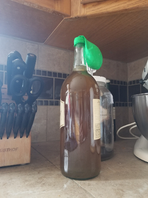 fermentation bottle