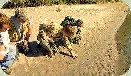 teaching wildlife tracking skills to a class of adult students