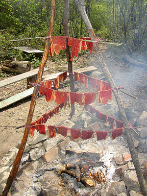 Drying meat by a fire to make pemmican