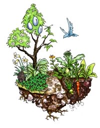 permaculture course