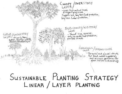 permaculture plantings diagram