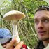 Wild Mushroom Identification Class image