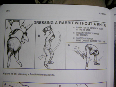 pages showing how to dress a rabbit
