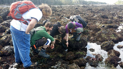 students investigate tidepool life
