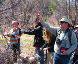 wild plant walk classes