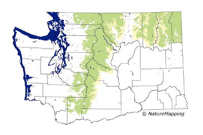 wolverine distribution map